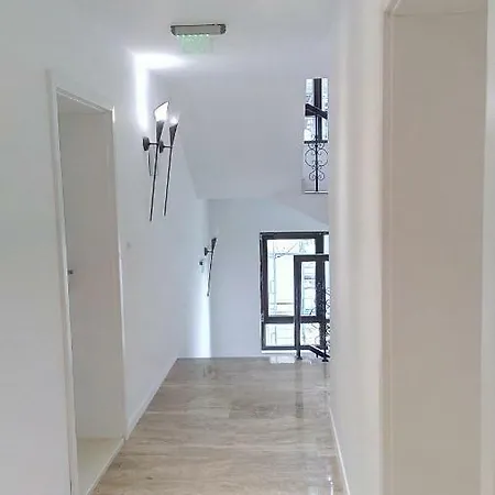 Daire арина
